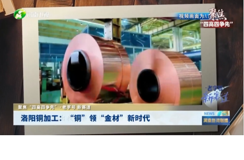 公司動態
